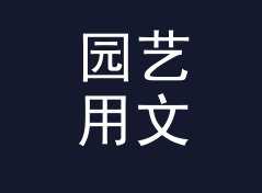 园艺用文本倒序翻转工具（完整版）