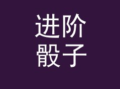 进阶骰子模拟投掷器（完整版）